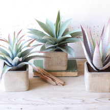 Set of 3 Large Artificial Succulents in Square Pots - Mix Home Mercantile