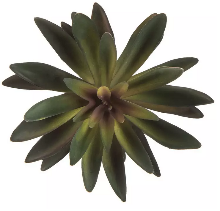 Lotus Succulent Pick