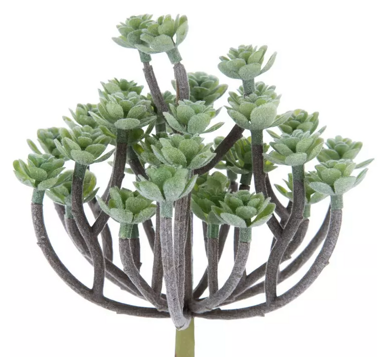 Tree Succulent Pick