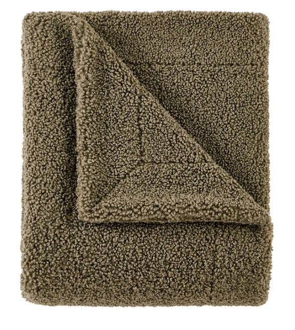 Teddy Textured Throw Blanket