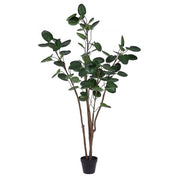 Faux Polyscias Potted Tree