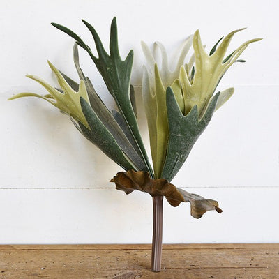 Antlers Fern Stem - Mix Home Mercantile