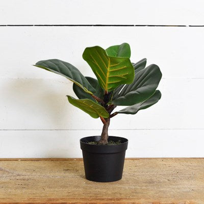 Fiddle Leaf Tree - Mix Home Mercantile