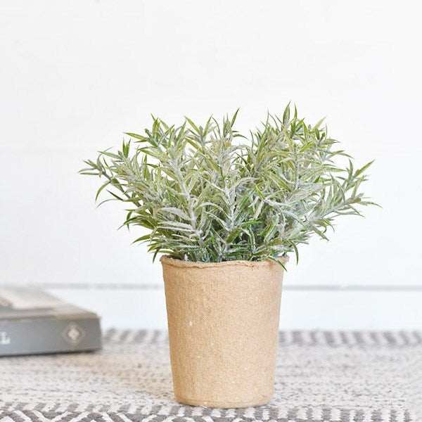 Dusty Greens in Paper Pot - Mix Home Mercantile