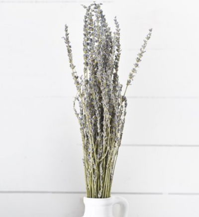 Dried Lavender - Mix Home Mercantile