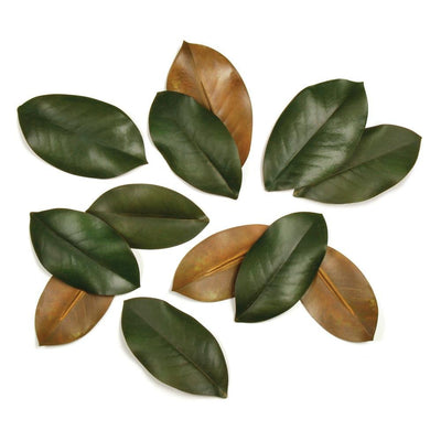 Set of 12 Magnolia Leaves - Mix Home Mercantile